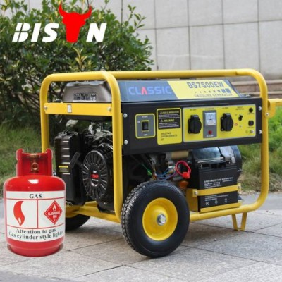 Bison China Taizhou Portable 6KW 15HP LPG Gas Generator Factory Sale