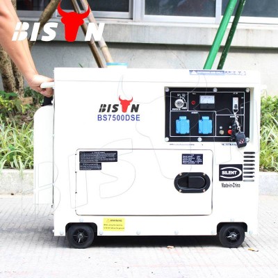 BISON(CHINA) 3kw 3000w Air-cooled Portable 3kva Silent Diesel Generator With Factory Price