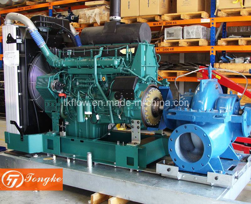 Diesel Engine Water Pump (set)