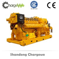 Natural Gas Generator with High Quality and Best Price (16kw- 1000kw)